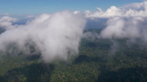 Amazonie - L'enjeu des Rivières Volantes